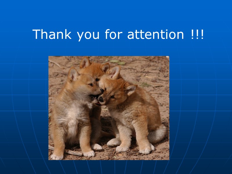 Thank you for attention !!!